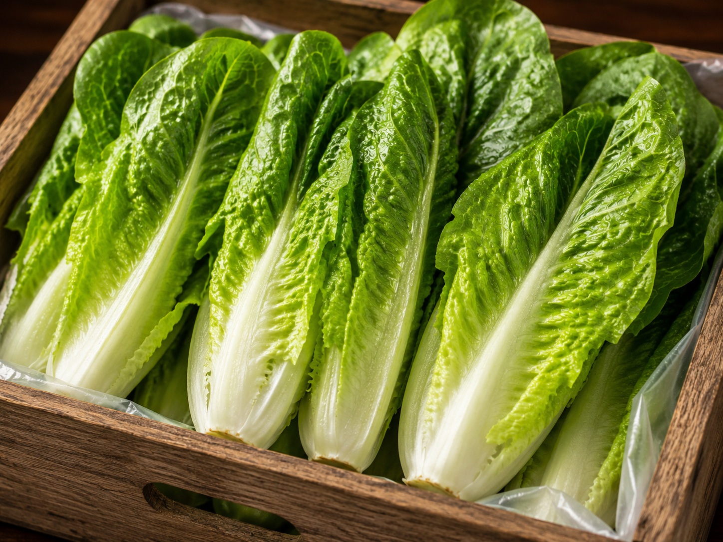 Romaine